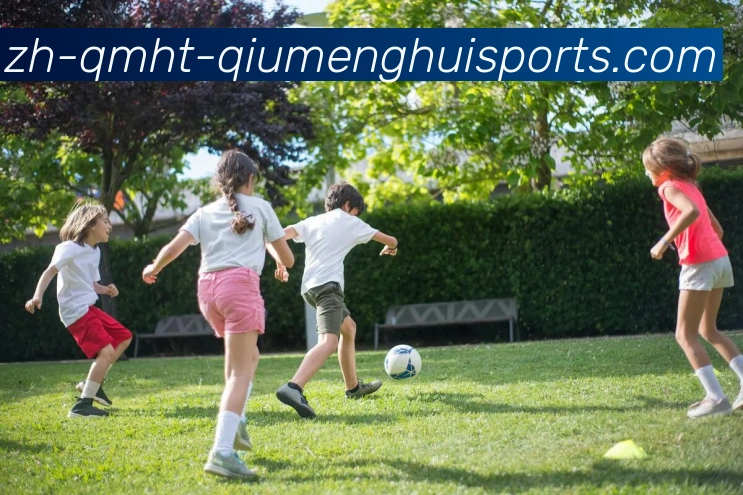 App Interface Preview